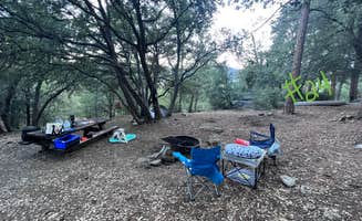 Brittany N.'s photo at Marion Mountain near San Jacinto, CA