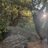 Review photo of Marion Mountain by Sabrina V., November 10, 2025