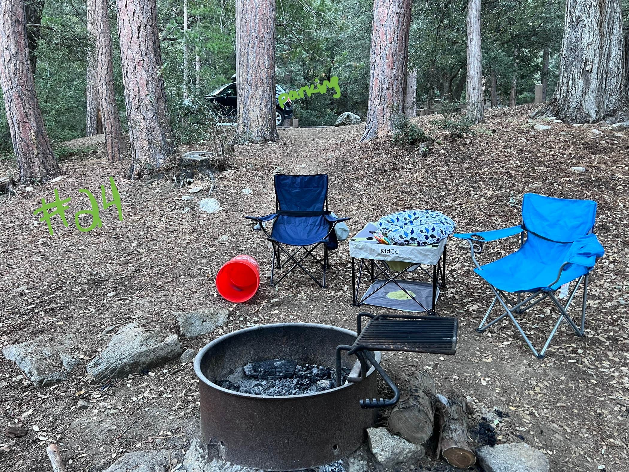 Brittany N.'s photo at Marion Mountain near San Jacinto, CA