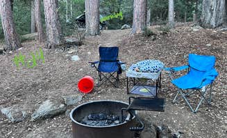 Brittany N.'s photo at Marion Mountain near San Jacinto, CA