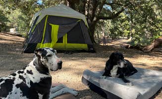 Jody R.'s photo at Marion Mountain near Mountain Center, CA