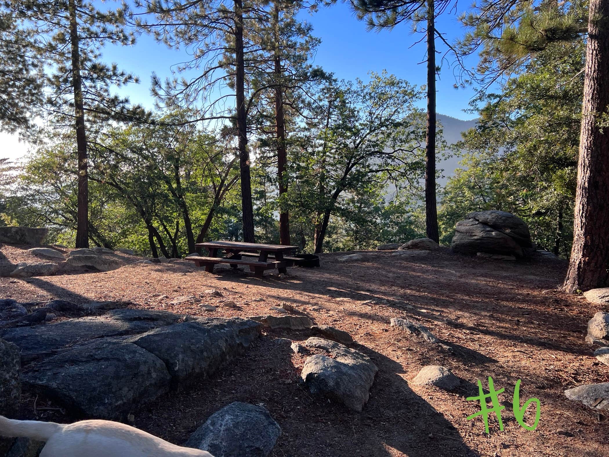 Brittany N.'s photo of camping with pets at Marion Mountain near Idyllwild-Pine Cove, CA