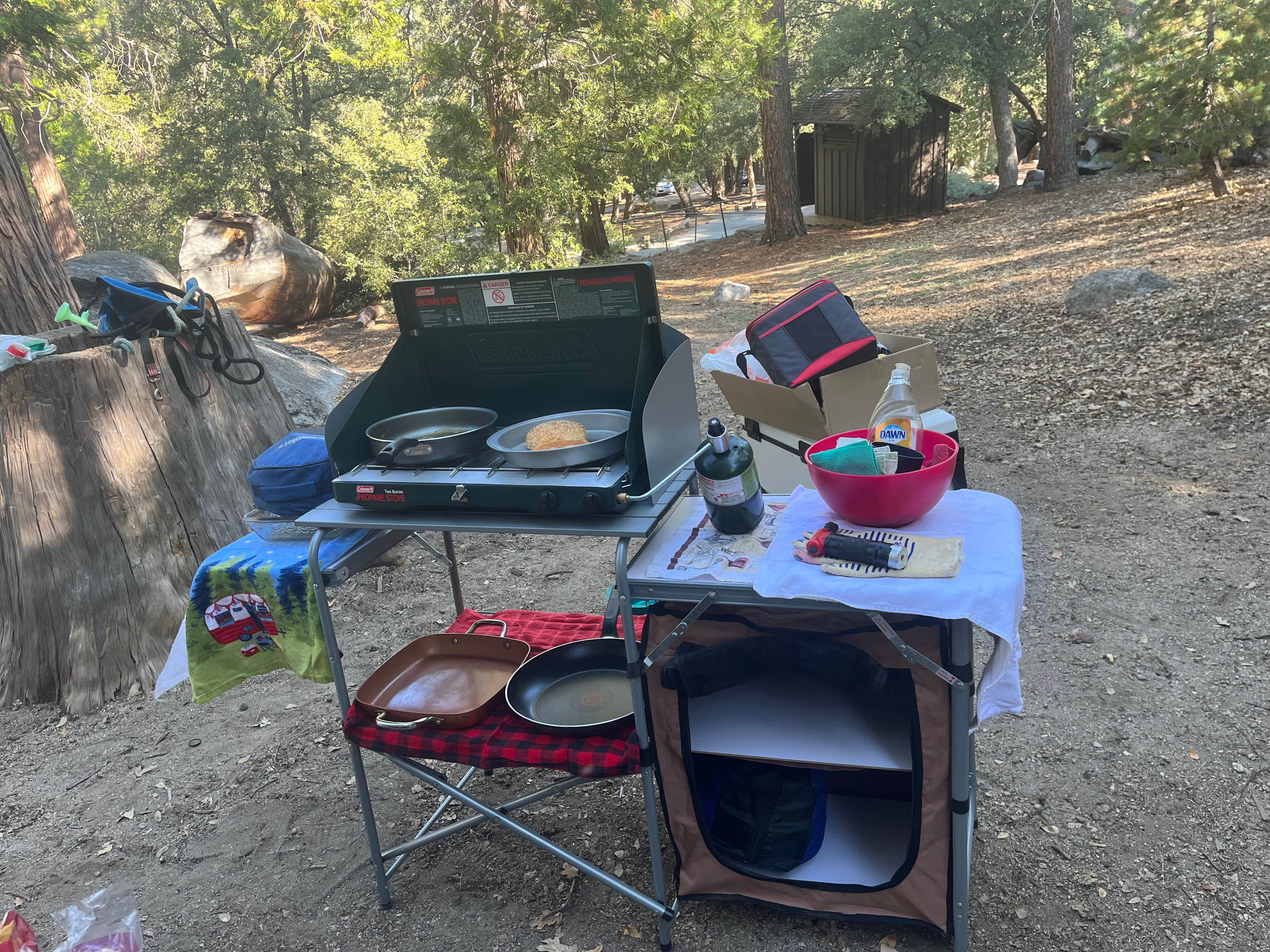 Jody R.'s photo at Marion Mountain near Idyllwild-Pine Cove, CA