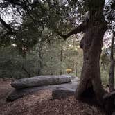 Review photo of Marion Mountain by Sabrina V., November 10, 2025