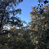 Review photo of Marion Mountain by Sabrina V., November 10, 2025