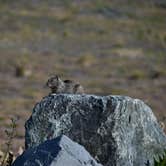 Review photo of Mattole Campground by Joseph W., May 24, 2026