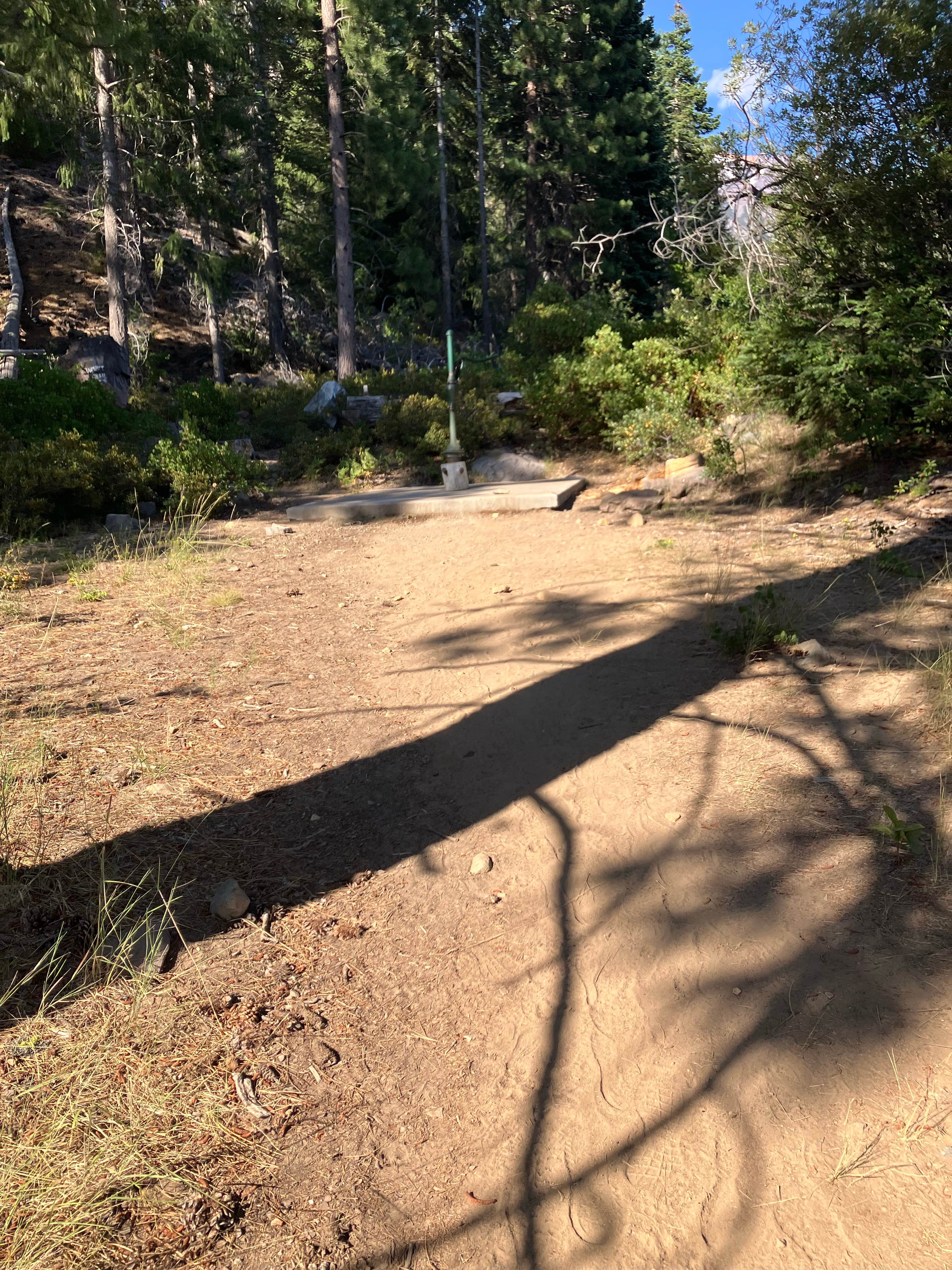 Camper-submitted photo at Mcbride Springs Campground near Mount Shasta, CA