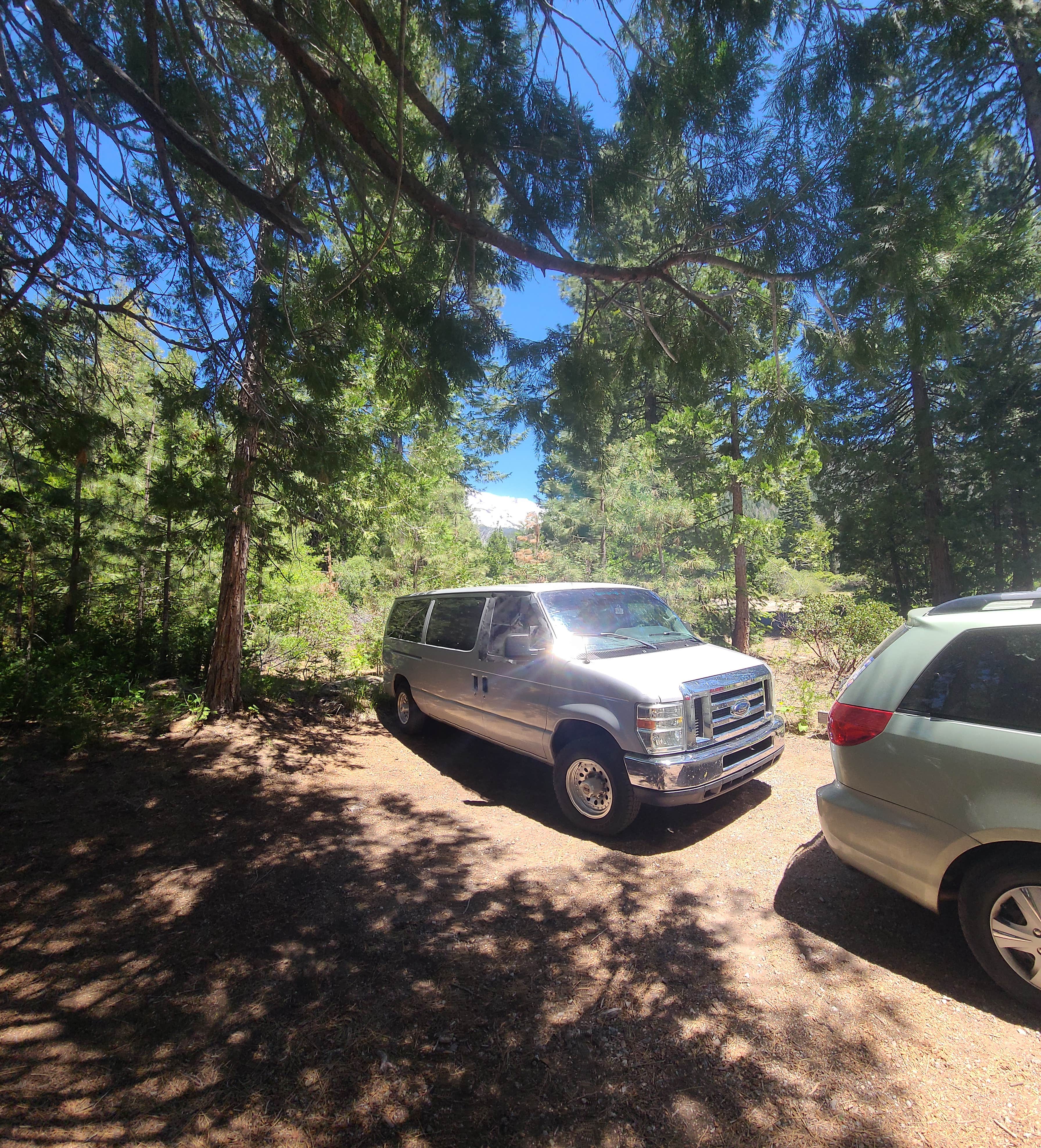 Camper-submitted photo at Mcbride Springs Campground near Weed, CA