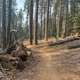 Review photo of Mcbride Springs Campground by MATTHEW R., October 21, 2026