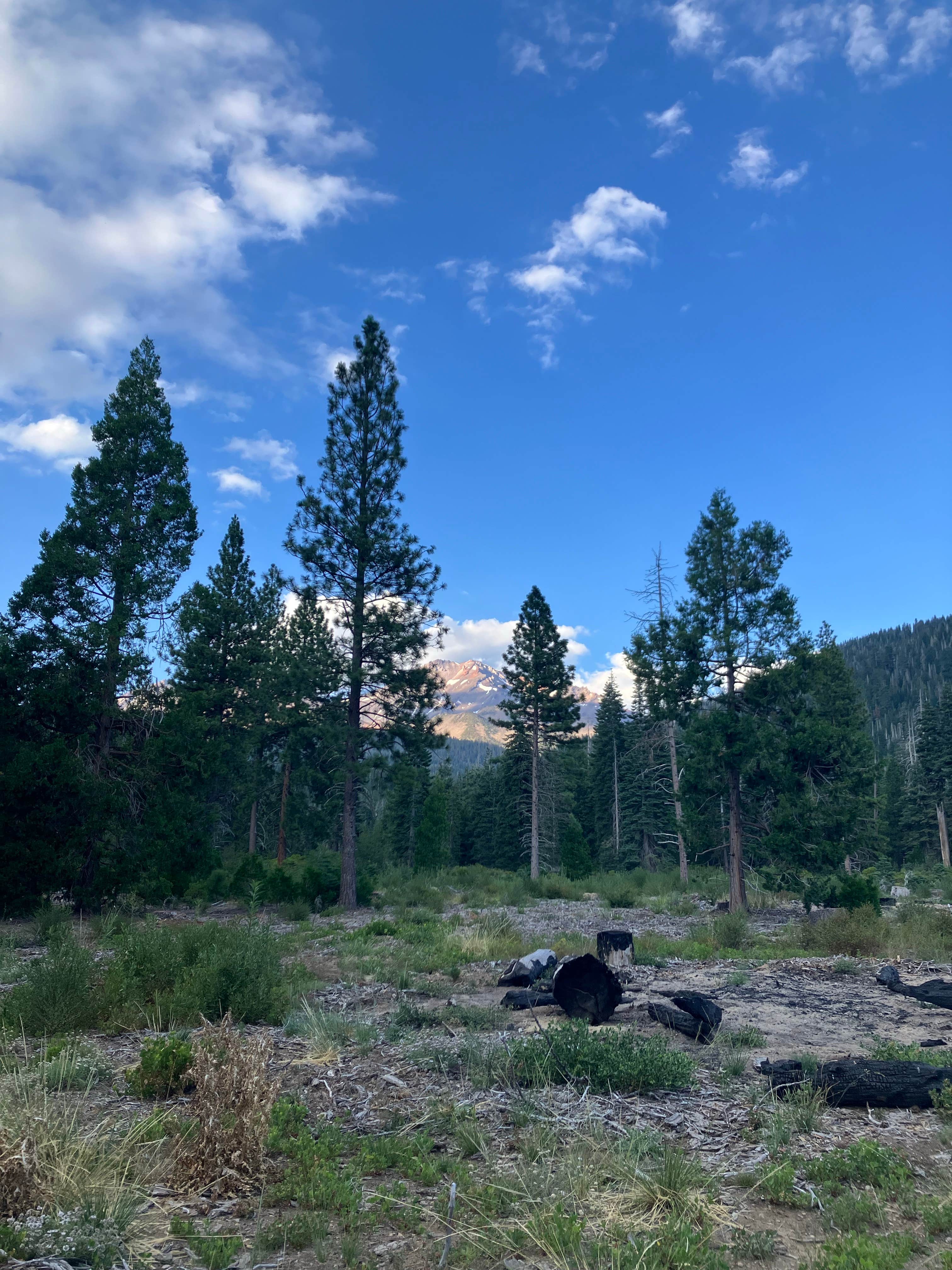 Camper-submitted photo at Mcbride Springs Campground near Mount Shasta, CA