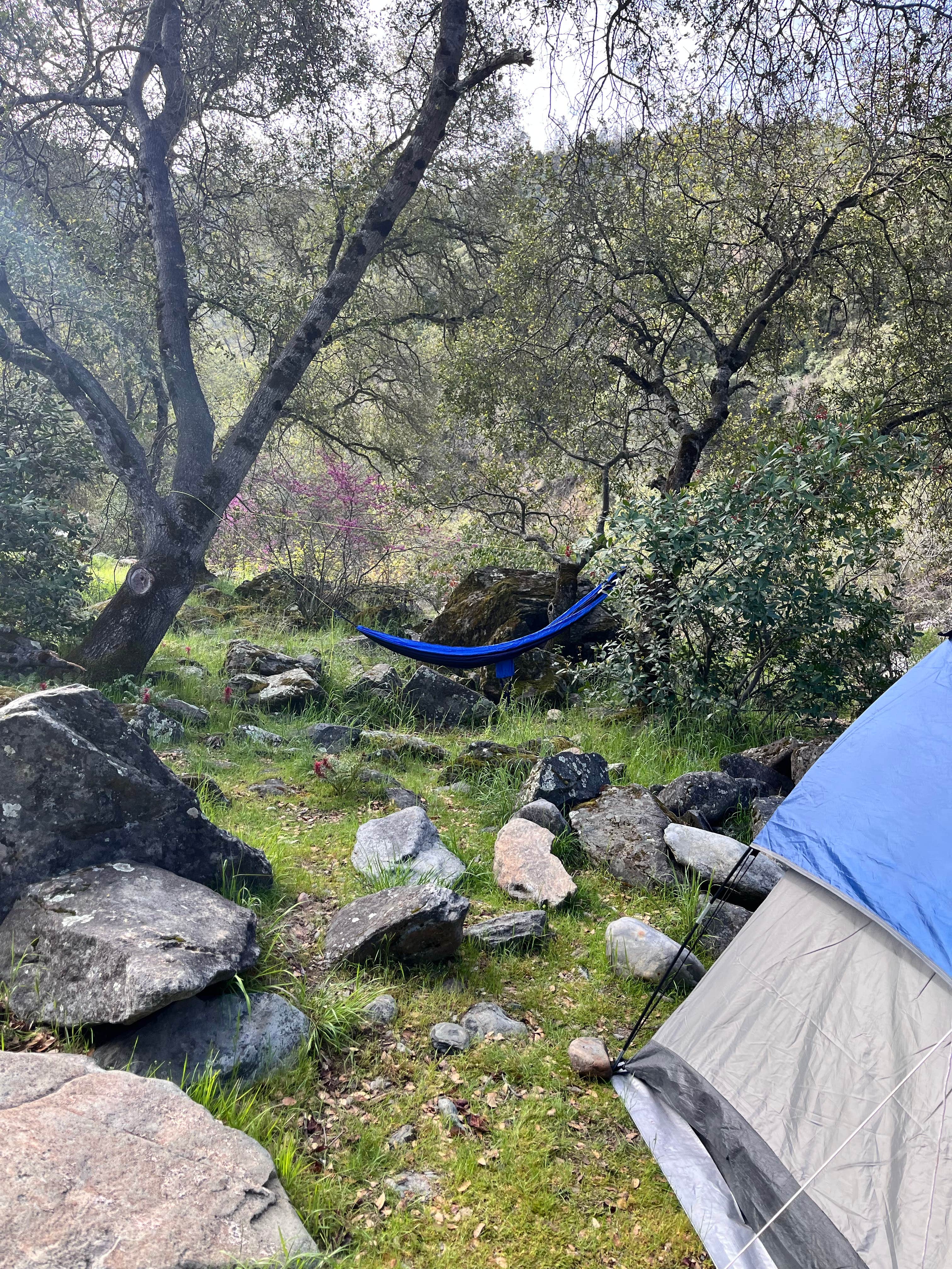 Trevor S.'s photo at McCabe Flat Campground in California