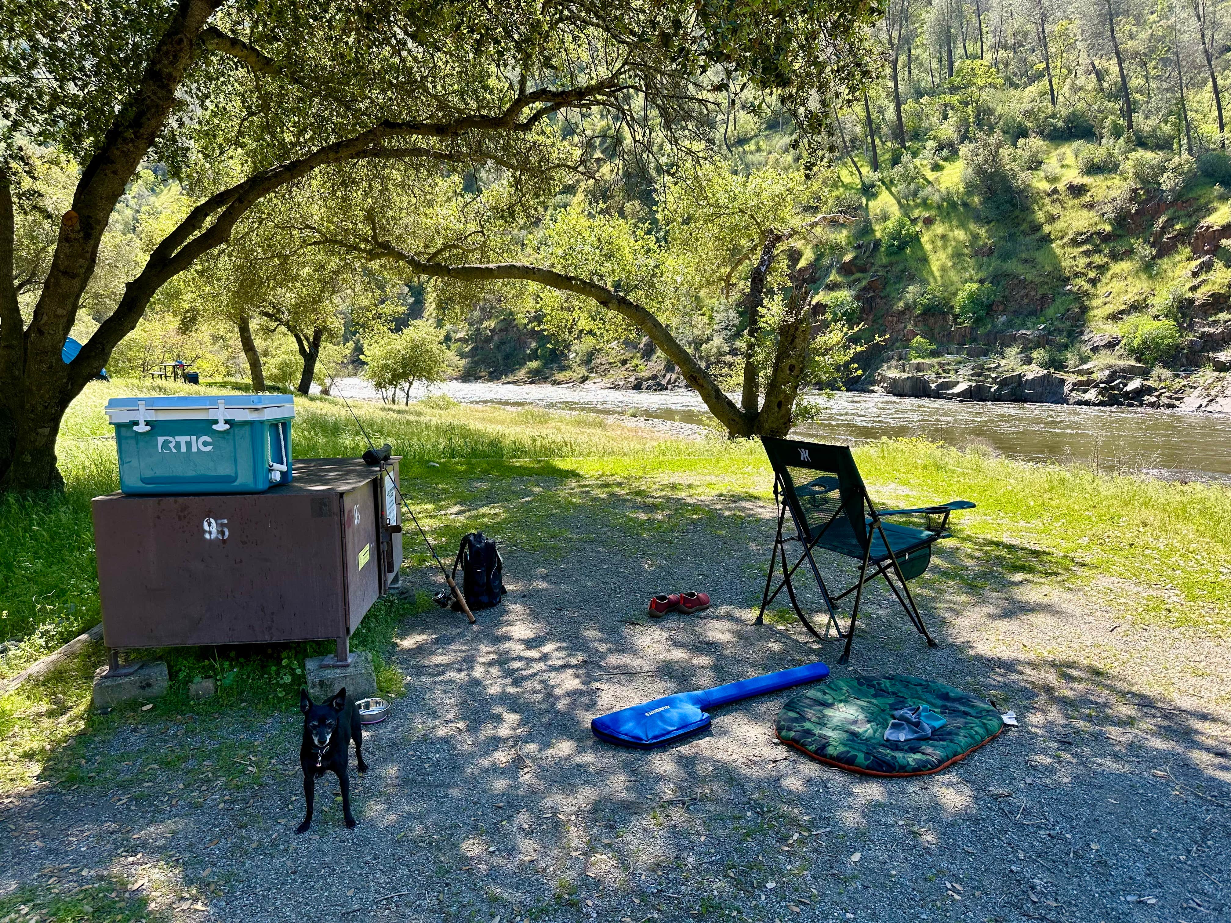 LILI P.'s photo at McCabe Flat Campground near Atwater, CA