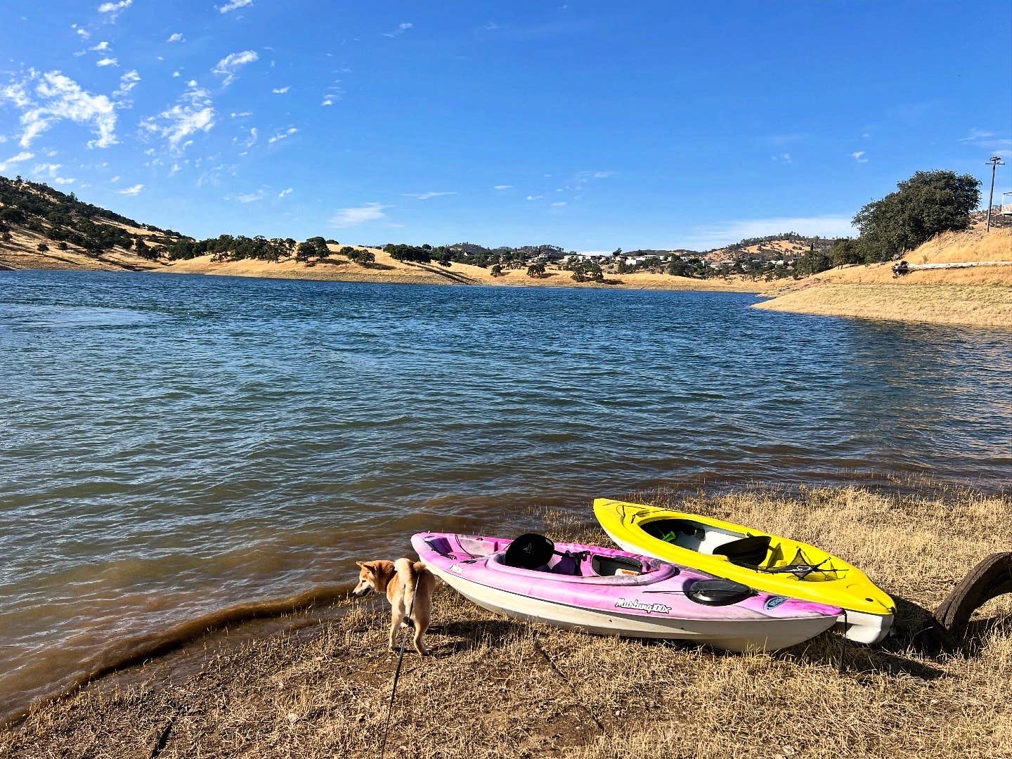 Camper-submitted photo at McClure Point Recreation Area near Atwater, CA