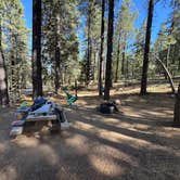 Review photo of Mcgill Campground And Group Campground by Andre V., January 22, 2026
