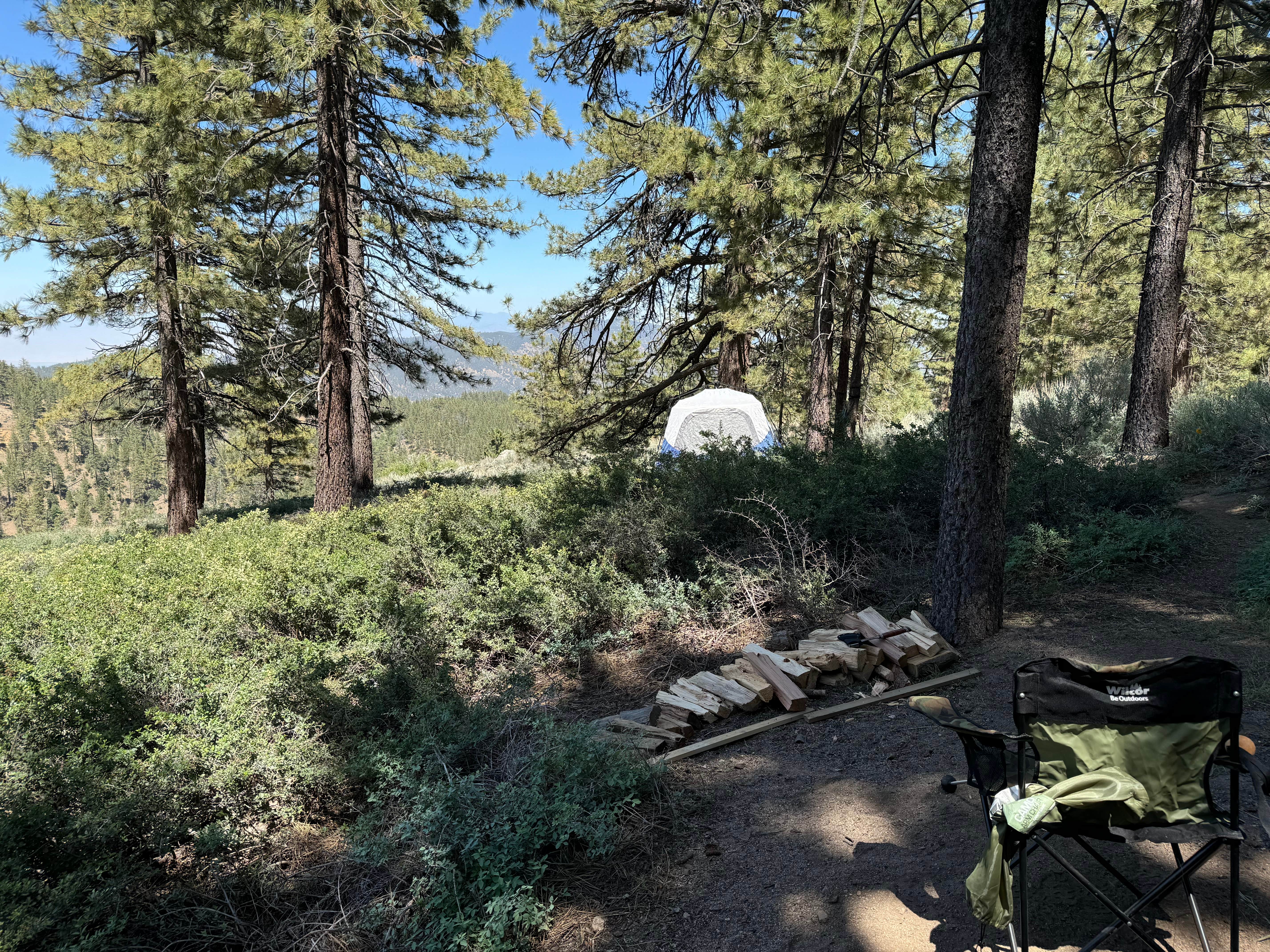 Andre V.'s photo at Mcgill Campground And Group Campground near Frazier Park, CA