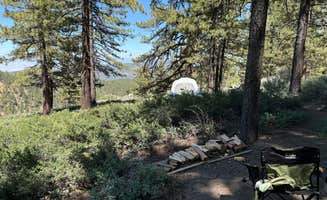 Andre V.'s photo at Mcgill Campground And Group Campground near Frazier Park, CA
