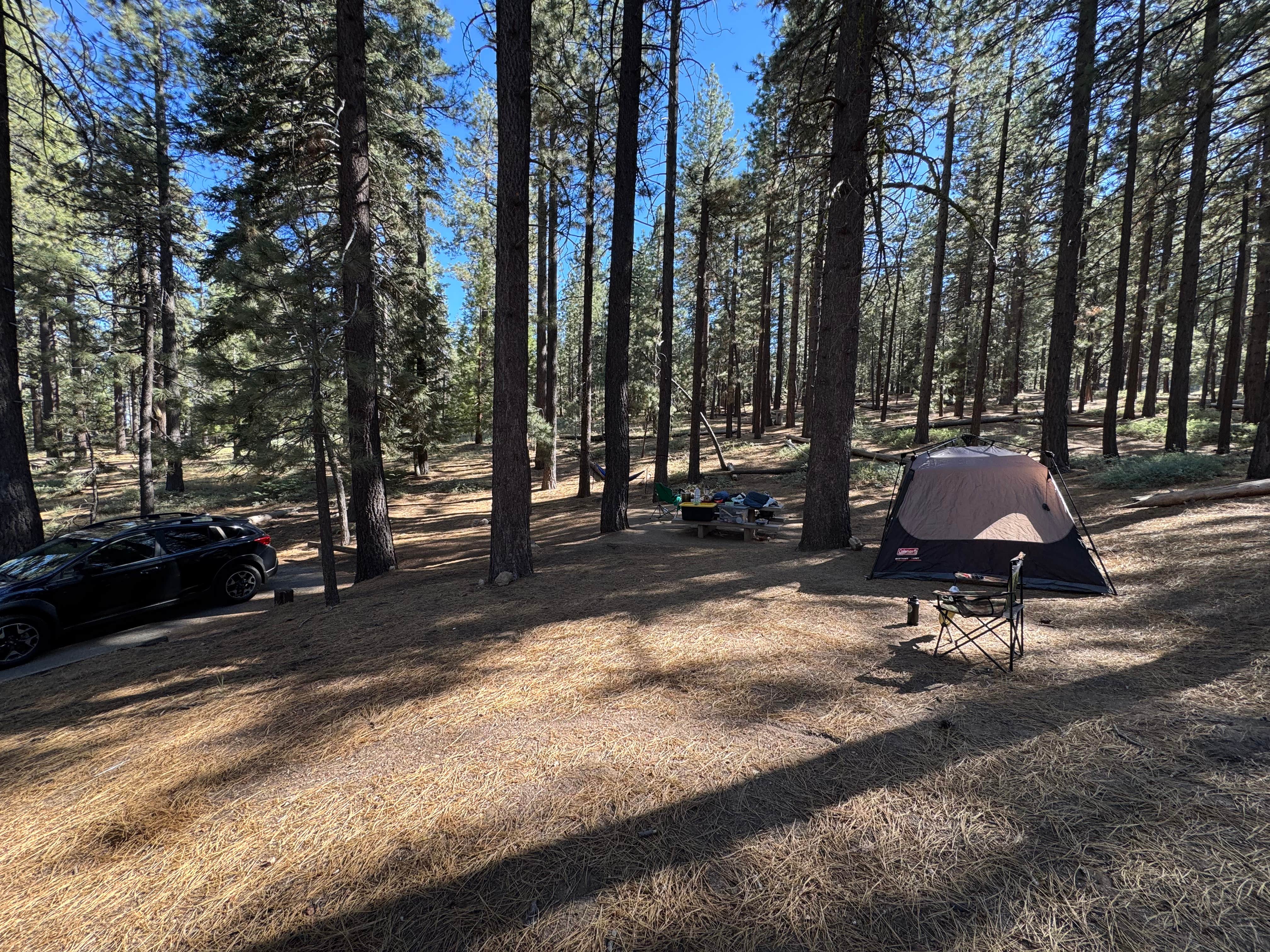 Andre V.'s photo at Mcgill Campground And Group Campground near Pine Mountain Club, CA