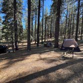 Review photo of Mcgill Campground And Group Campground by Andre V., January 22, 2026