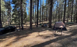 Andre V.'s photo at Mcgill Campground And Group Campground near Greenfield, CA