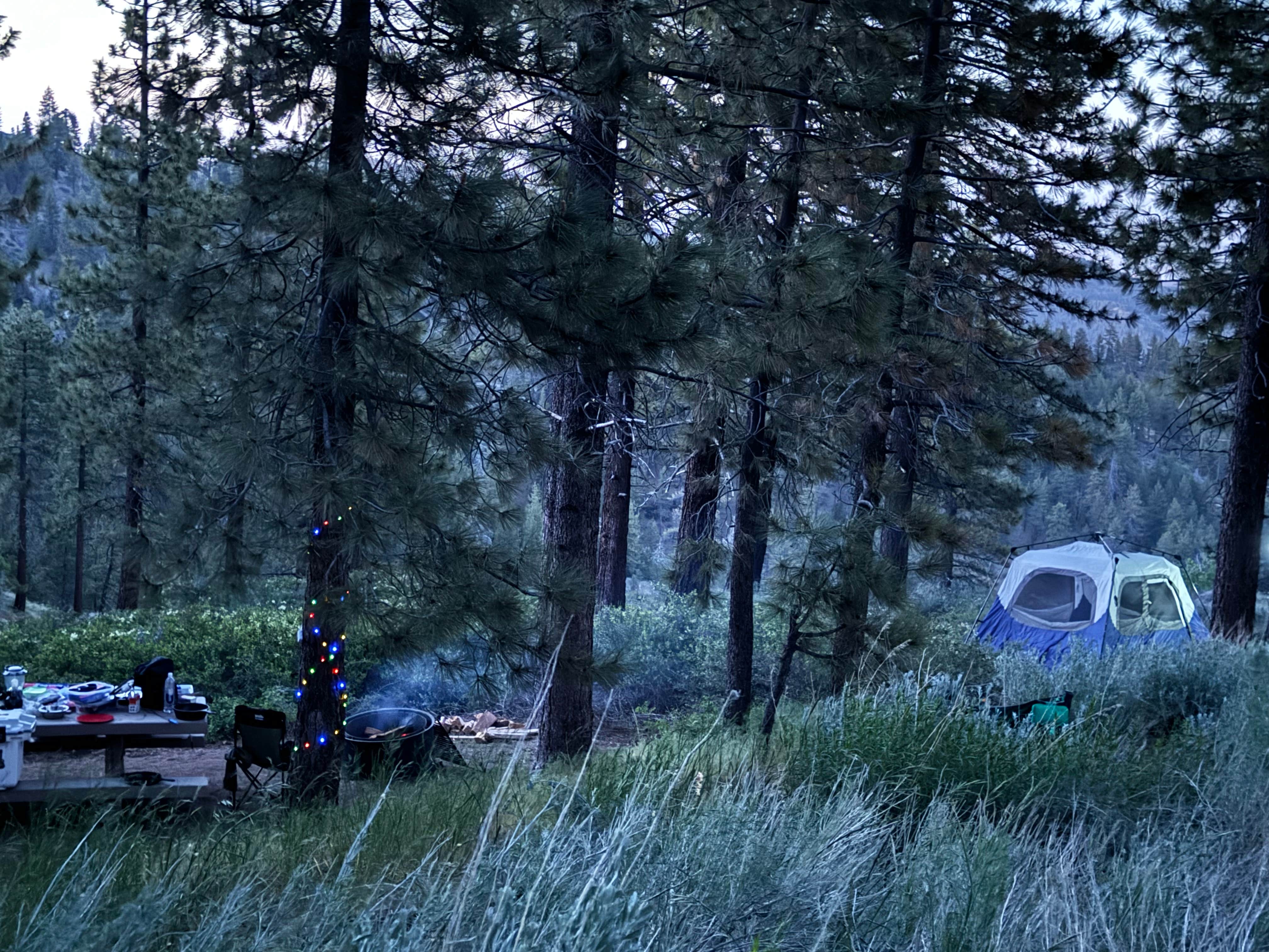 Andre V.'s photo at Mcgill Campground And Group Campground near Greenfield, CA