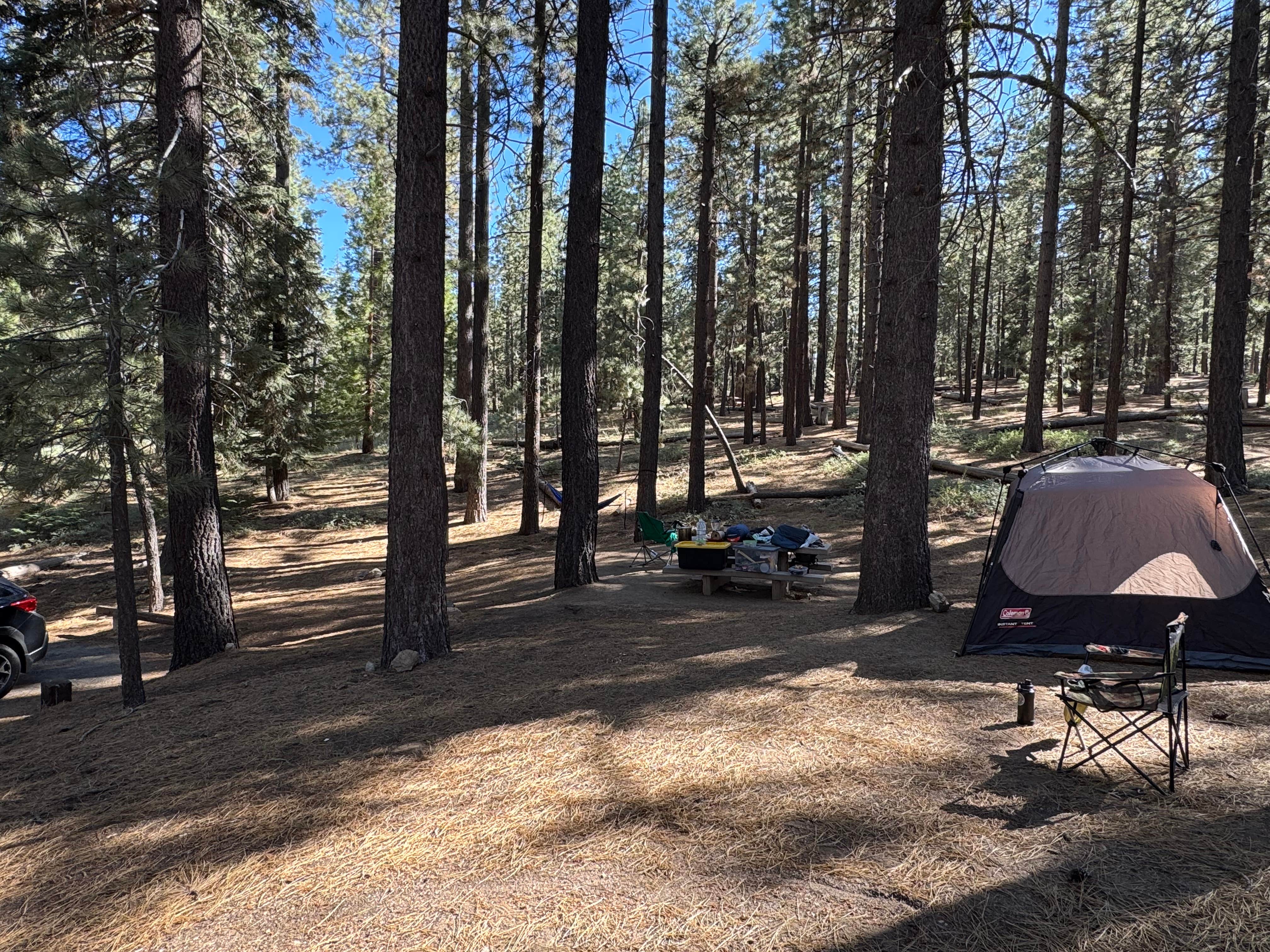 Andre V.'s photo at Mcgill Campground And Group Campground near Greenfield, CA