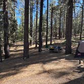 Review photo of Mcgill Campground And Group Campground by Andre V., January 22, 2026