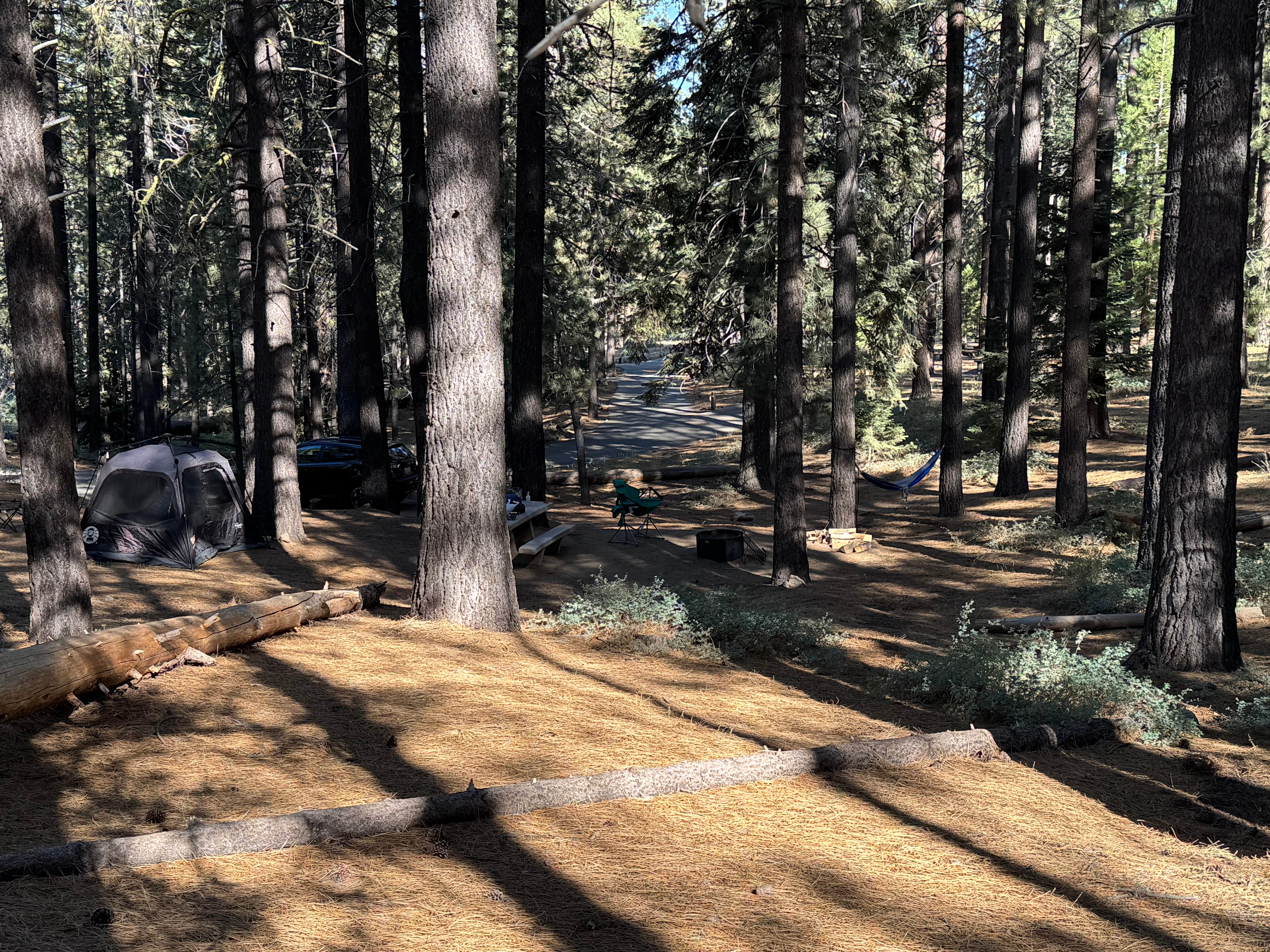 Andre V.'s photo at Mcgill Campground And Group Campground near Bakersfield, CA