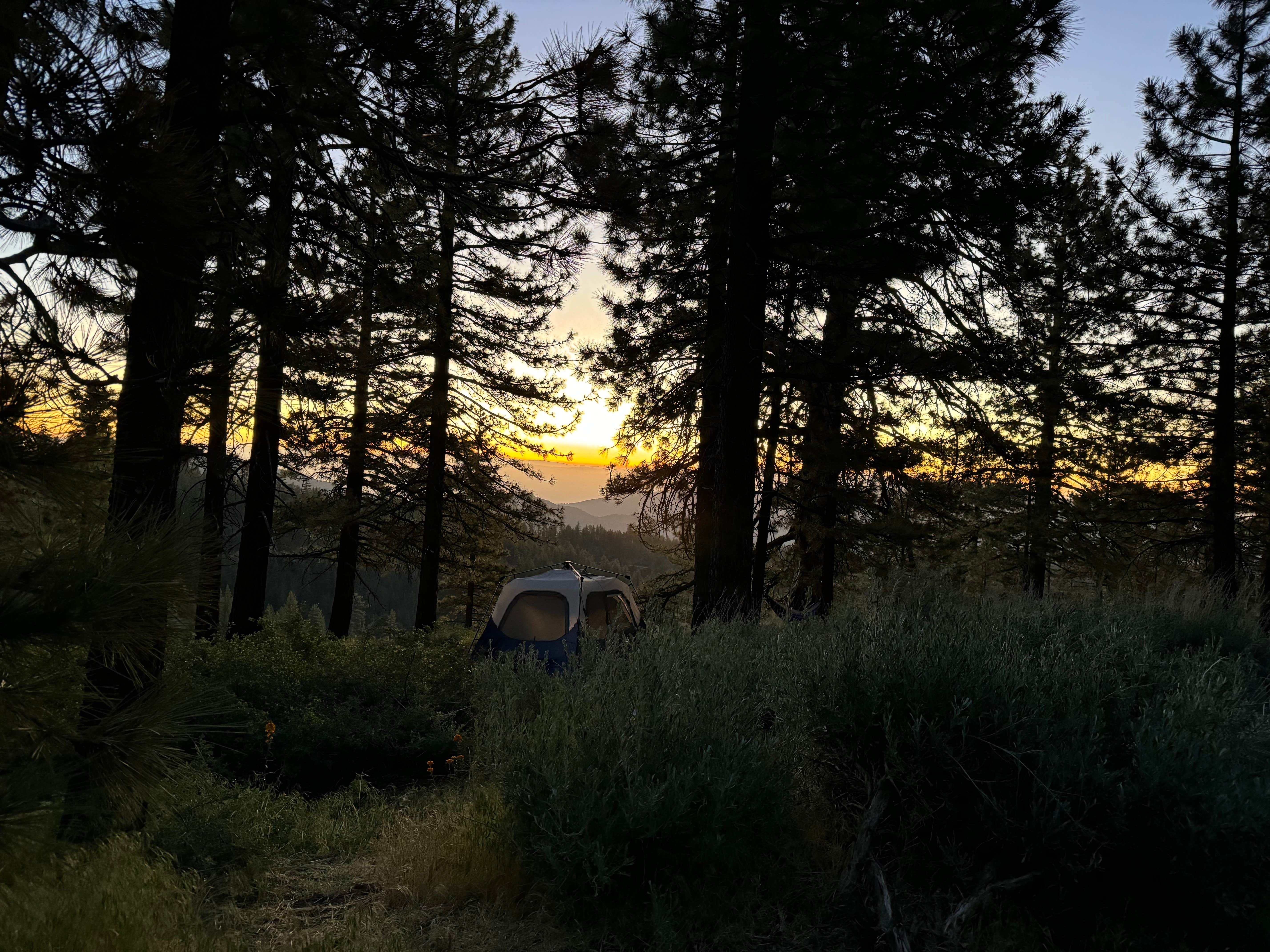 Andre V.'s photo at Mcgill Campground And Group Campground near Bakersfield, CA