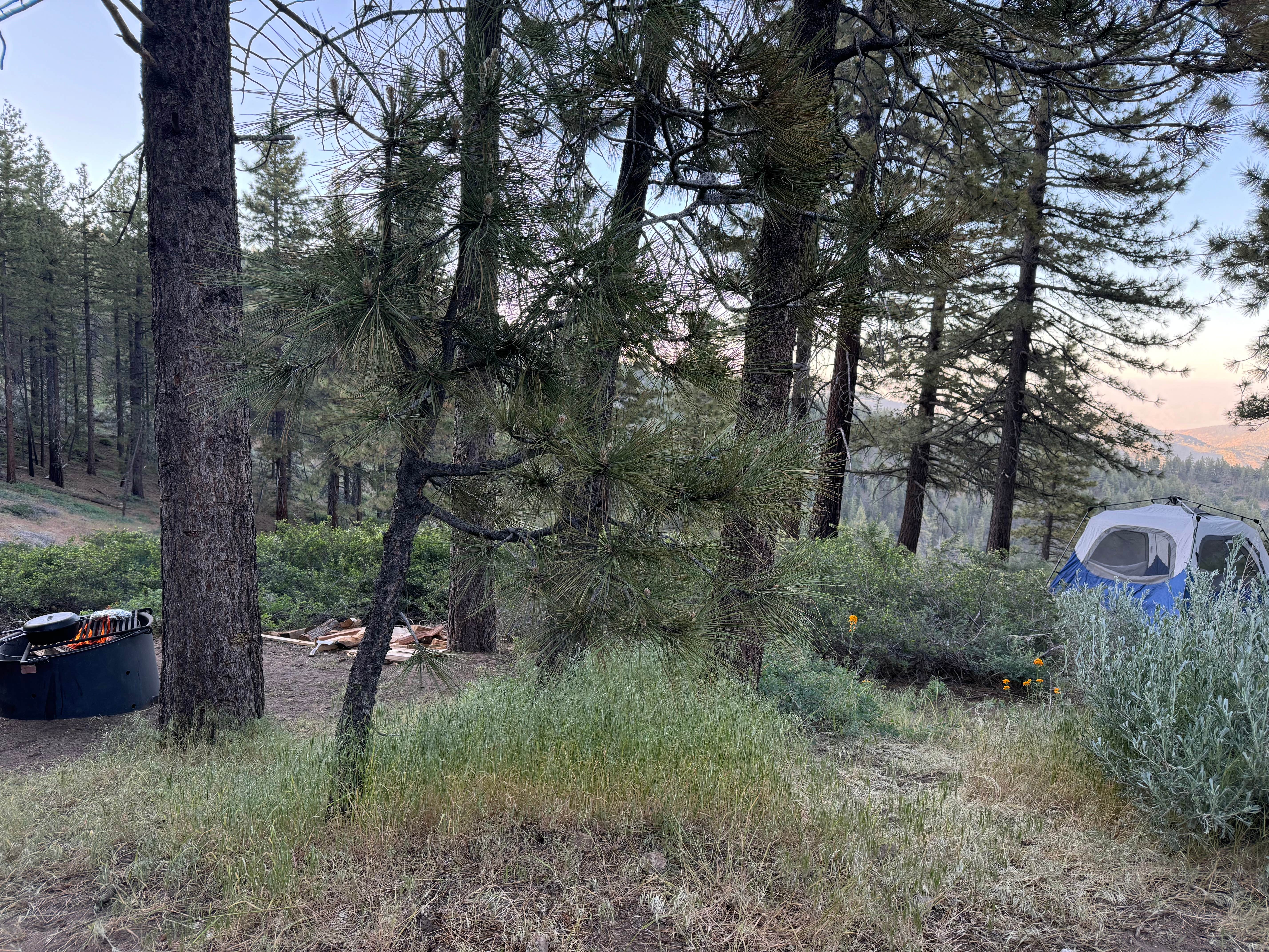 Andre V.'s photo at Mcgill Campground And Group Campground near Bakersfield, CA