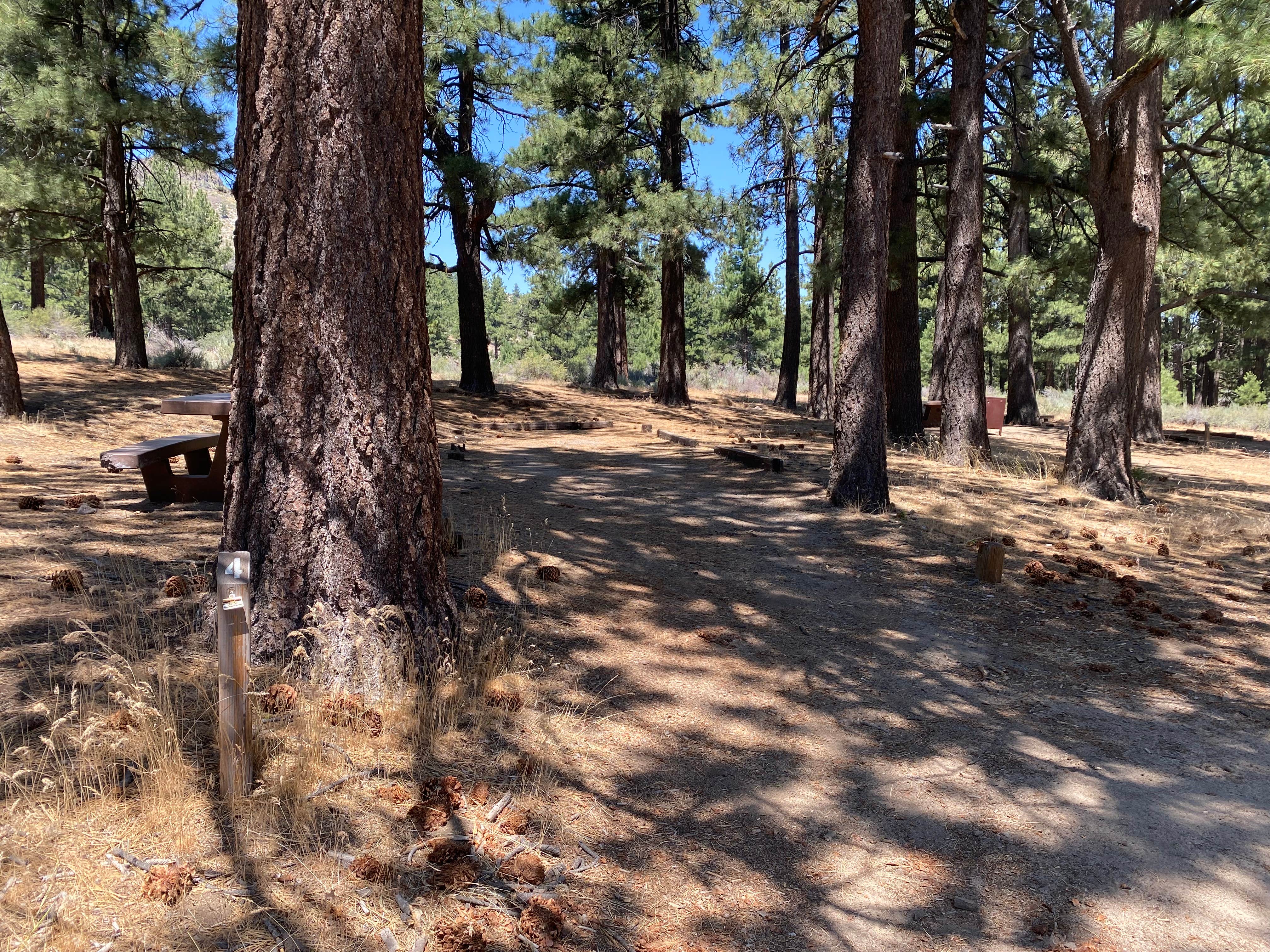 Camper-submitted photo at Meadow View Equestrian Campground near Susanville, CA