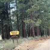 Review photo of Meadow View Equestrian Campground by G M., April 25, 2025