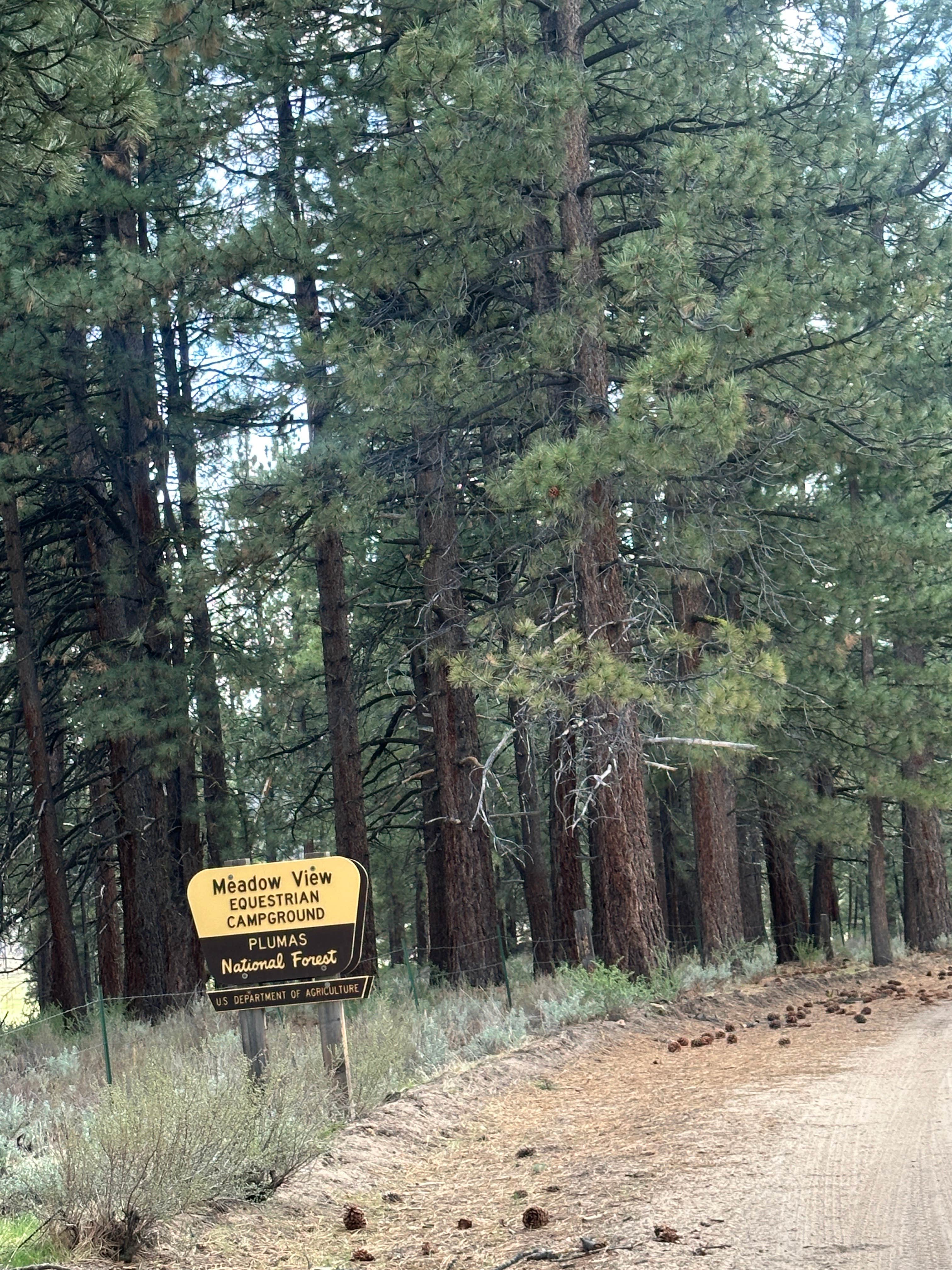 Camper submitted image from Meadow View Equestrian Campground - 5