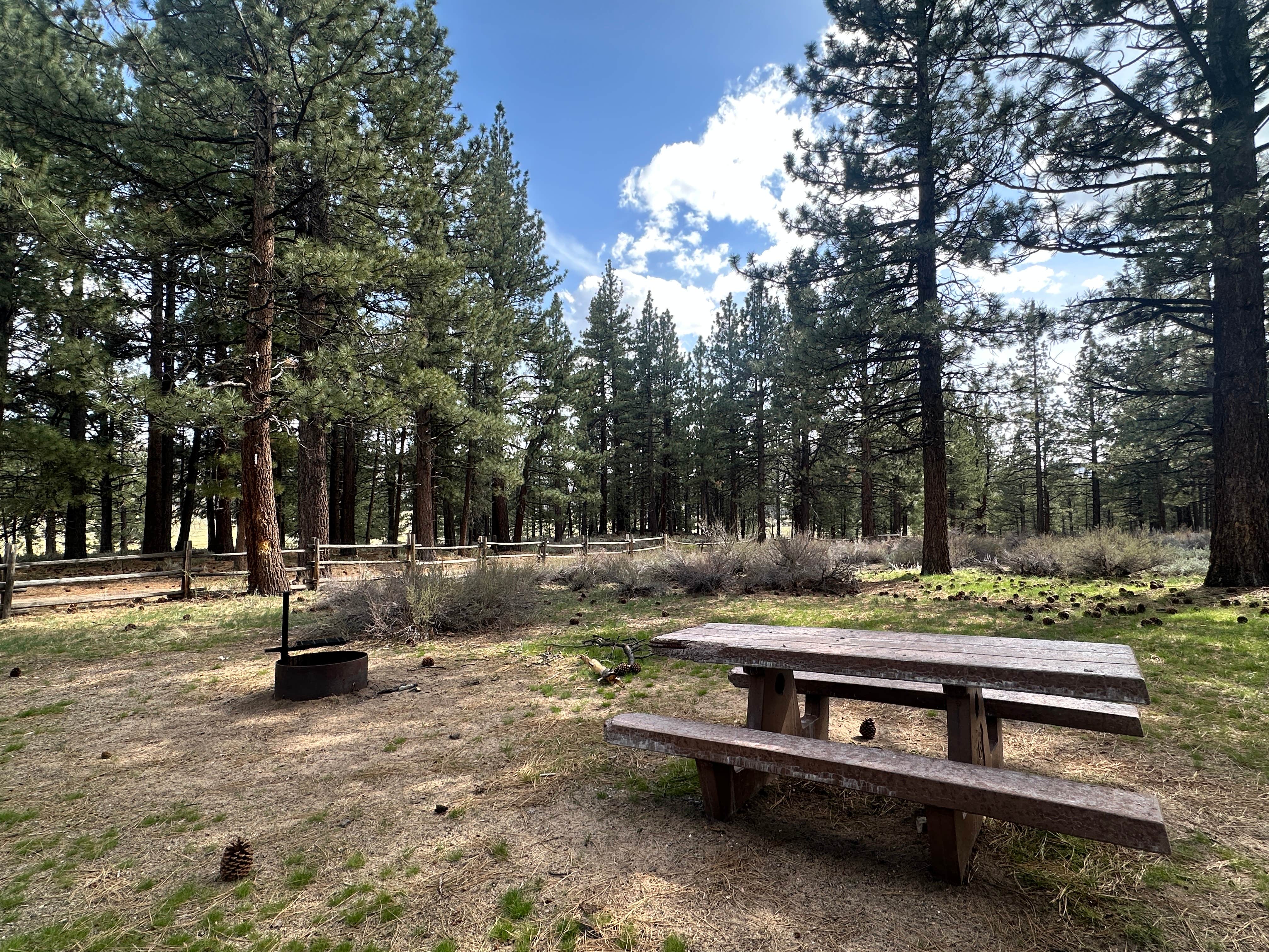Camper-submitted photo at Meadow View Equestrian Campground near Susanville, CA
