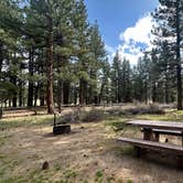Review photo of Meadow View Equestrian Campground by G M., April 25, 2025
