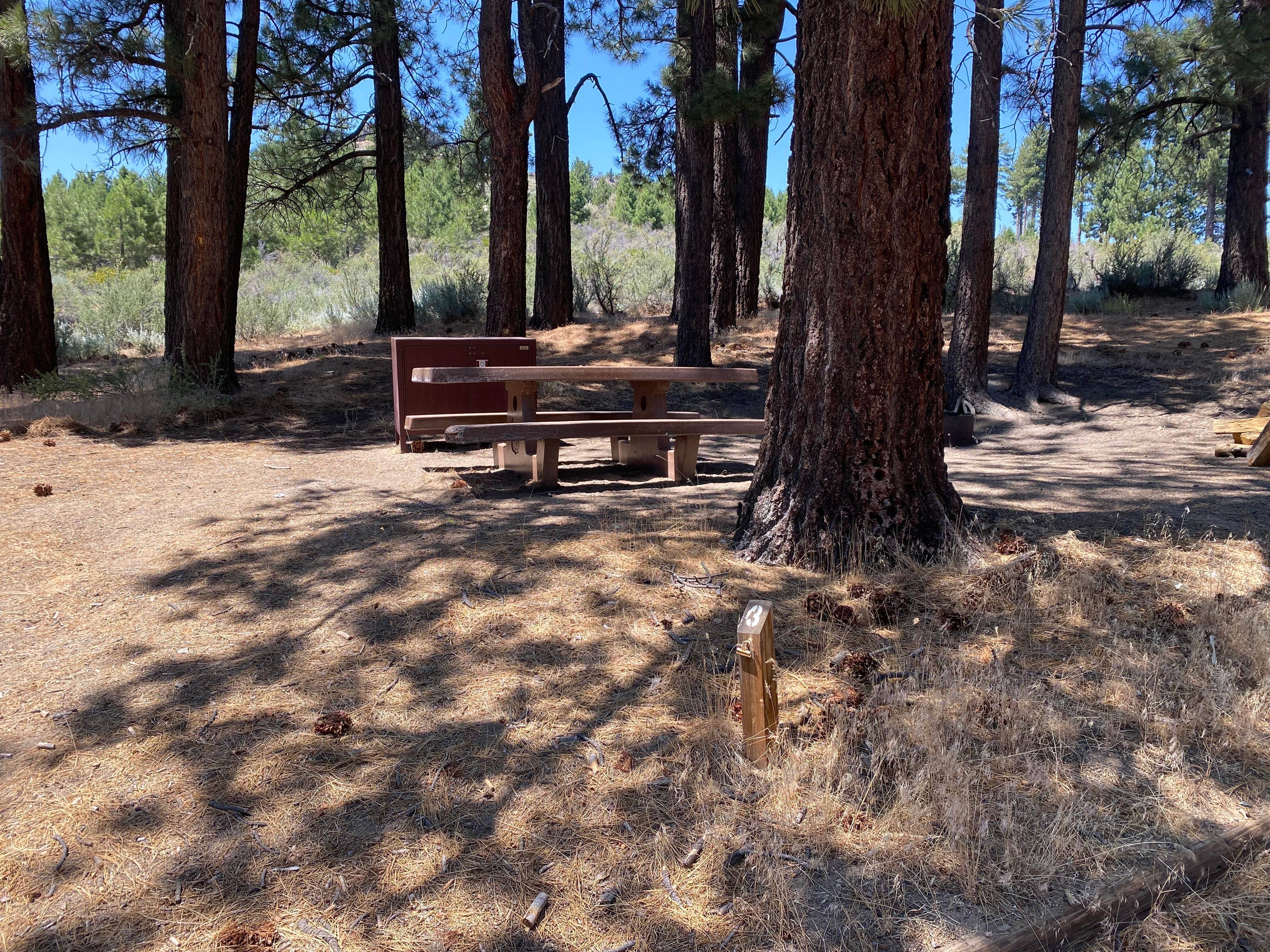 Camper-submitted photo at Meadow View Equestrian Campground near Susanville, CA