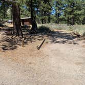 Review photo of Meadow View Equestrian Campground by Patricia N., July 12, 2025