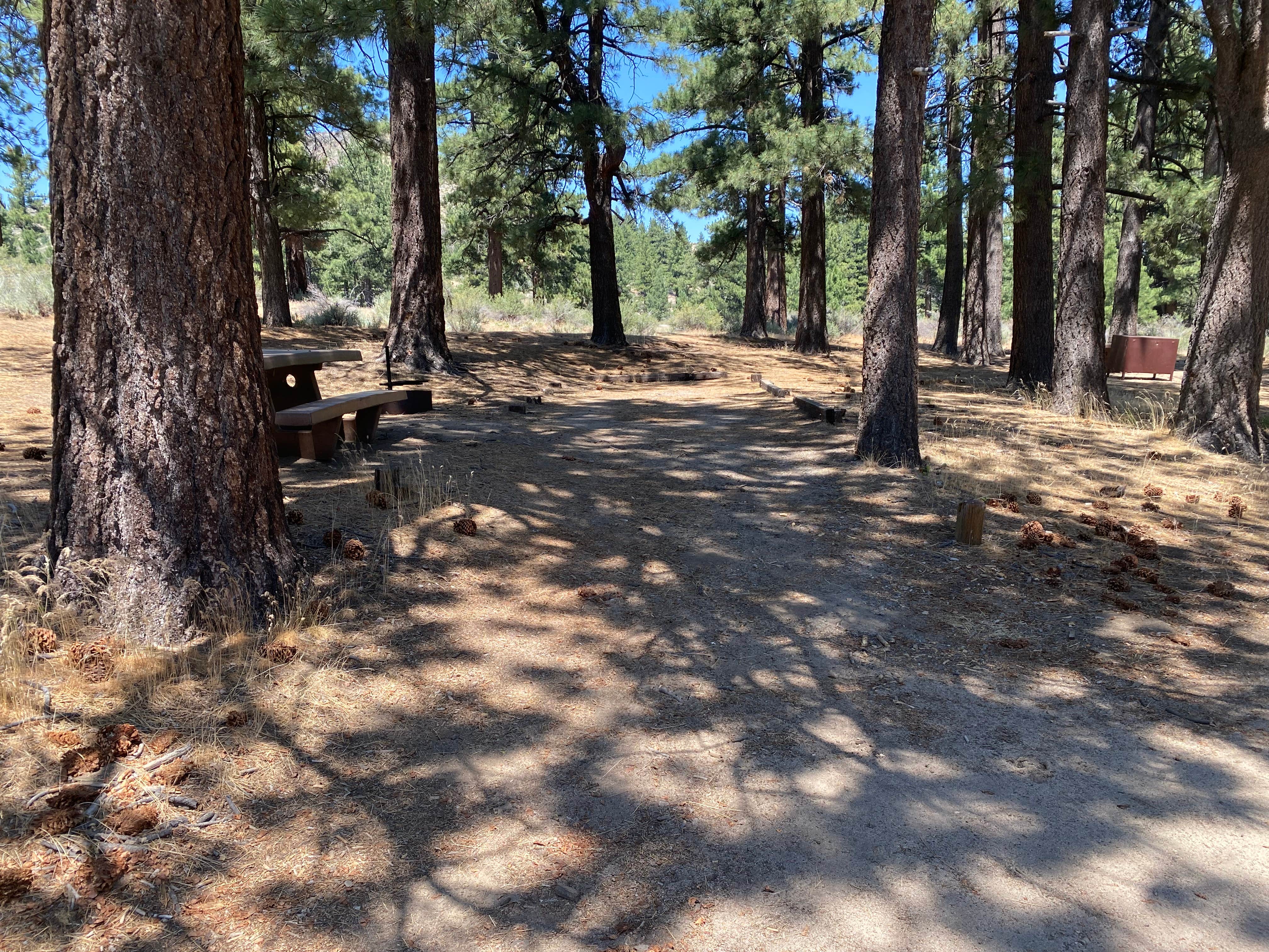 Camper-submitted photo at Meadow View Equestrian Campground near Susanville, CA