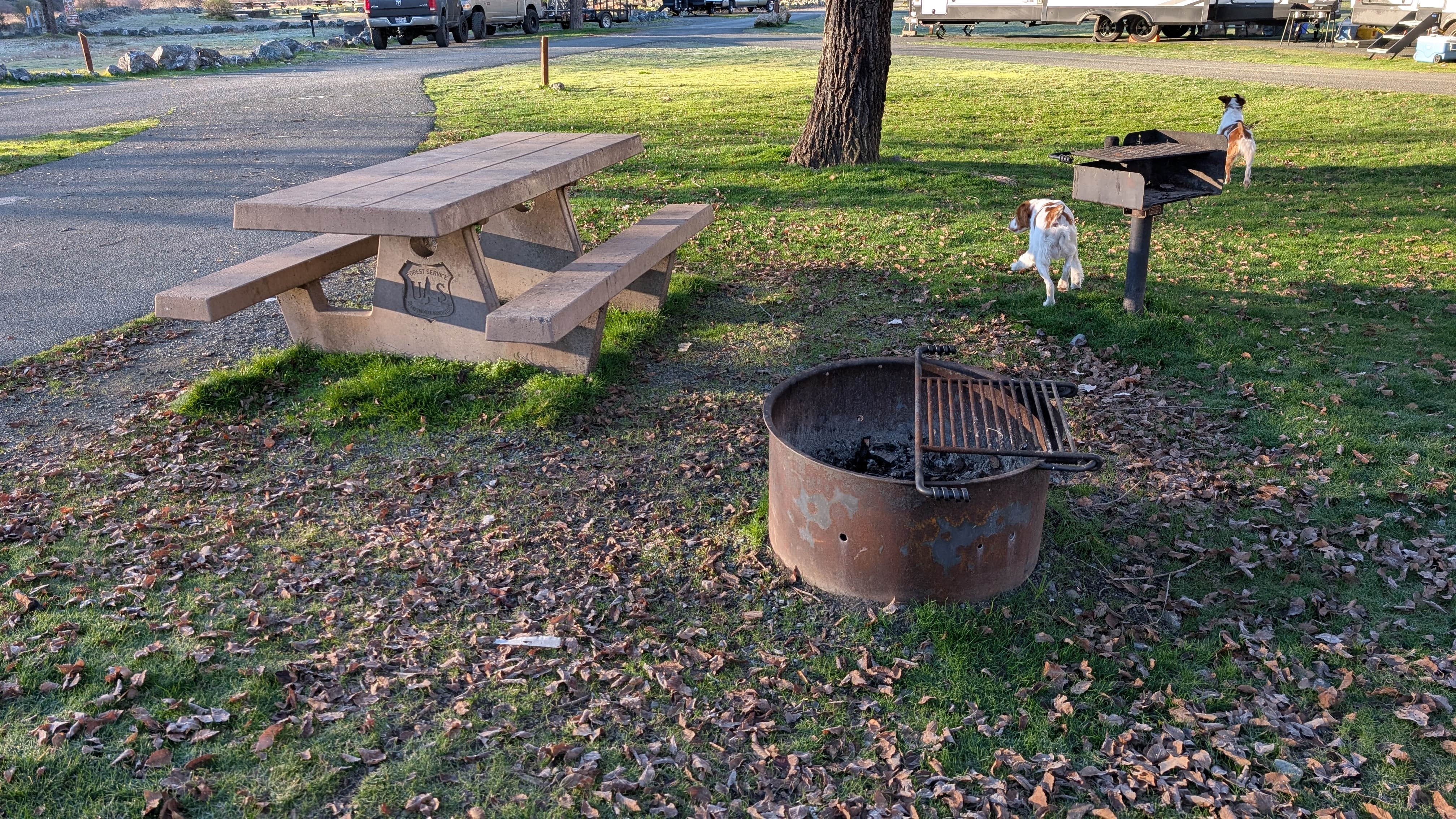 Camper-submitted photo at Middle Creek Campground near Mendocino Lake