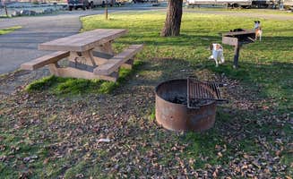Justin W.'s photo of camping with pets at Middle Creek Campground near Potter Valley, CA