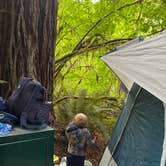 Review photo of Mill Creek Campground — Del Norte Coast Redwoods State Park by Nicole L., August 8, 2024