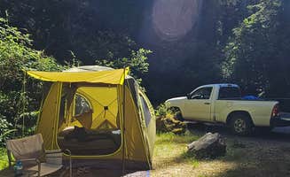 Michael U.'s photo at Mill Creek Campground — Del Norte Coast Redwoods State Park near Crescent City, CA