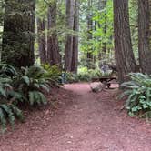 Review photo of Mill Creek Campground — Del Norte Coast Redwoods State Park by Syd M., June 28, 2026