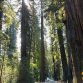 Review photo of Mill Creek Campground — Del Norte Coast Redwoods State Park by Jack T., September 9, 2025