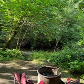 Review photo of Mill Creek Campground — Del Norte Coast Redwoods State Park by Troy L., September 3, 2024