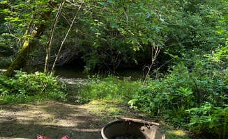Troy L.'s photo at Mill Creek Campground — Del Norte Coast Redwoods State Park near Klamath, CA
