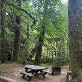 Review photo of Mill Creek Campground — Del Norte Coast Redwoods State Park by Joleen O., August 14, 2026