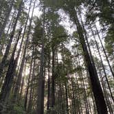 Review photo of Mill Creek Campground — Del Norte Coast Redwoods State Park by Jack T., September 9, 2025