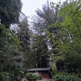 Review photo of Mill Creek Campground — Del Norte Coast Redwoods State Park by Syd M., June 28, 2026