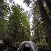 Review photo of Mill Creek Campground — Del Norte Coast Redwoods State Park by Syd M., June 28, 2026
