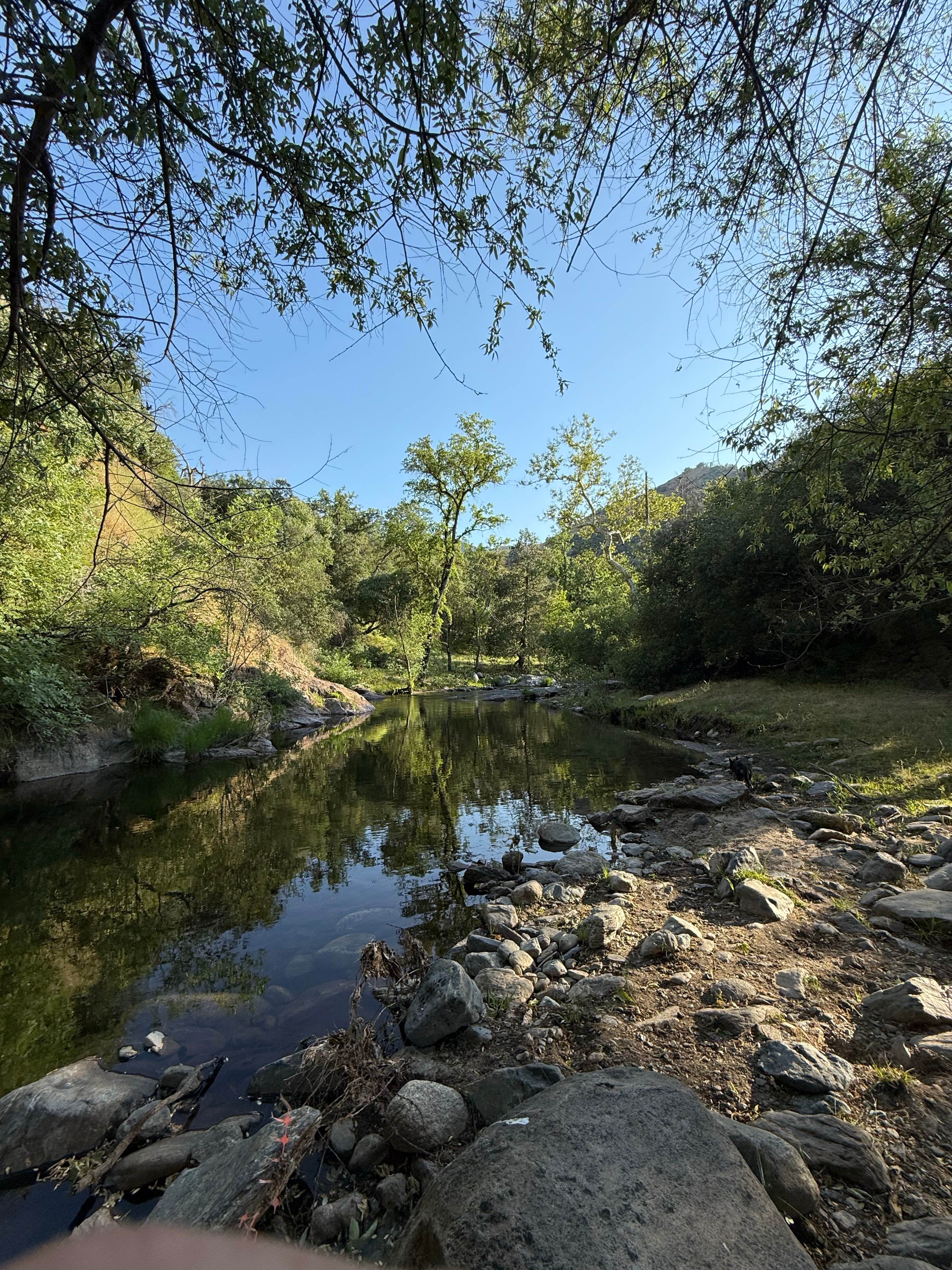 Camper submitted image from Mill Flat Campground - 5